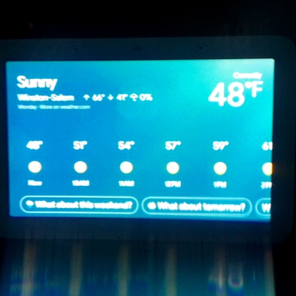 Nest Hub - Picture 4 of 4